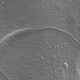 Illustration for article titled Worlds Oldest Sperm Found in a 50-Million-Year-Old Antarctic Cocoon